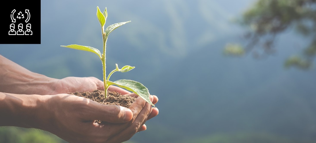 Bancos al servicio del planeta: Financiamiento para proteger la biodiversidad en Colombia y en la región