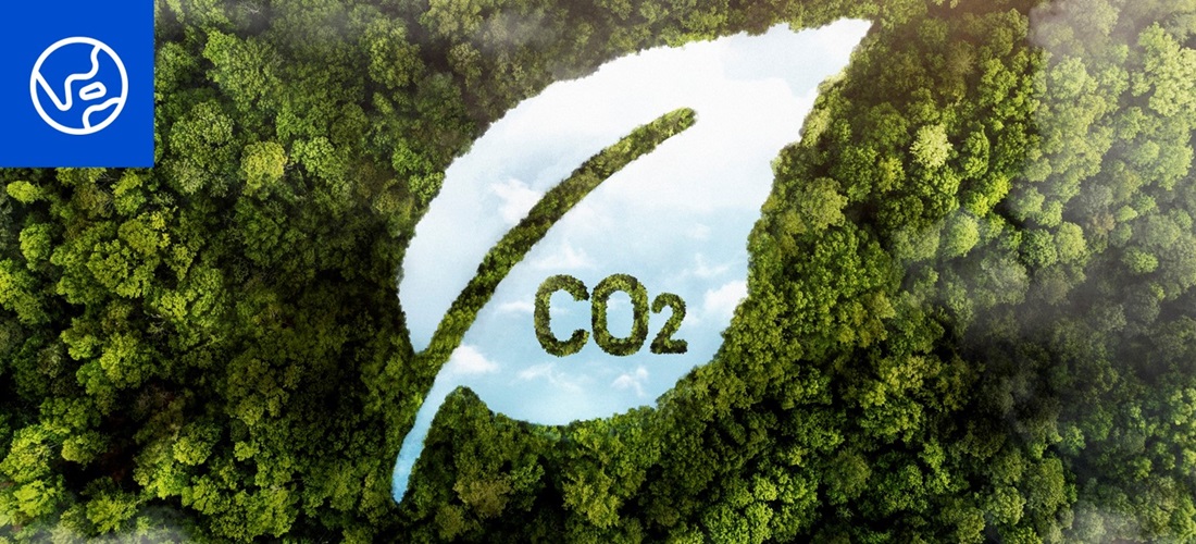 Kimberly-Clark trabaja constantemente por reducir su huella ambiental