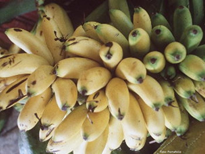 comercio noticia banano