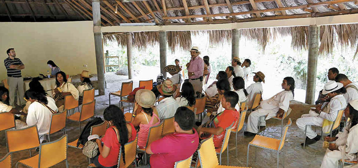 consulta previa