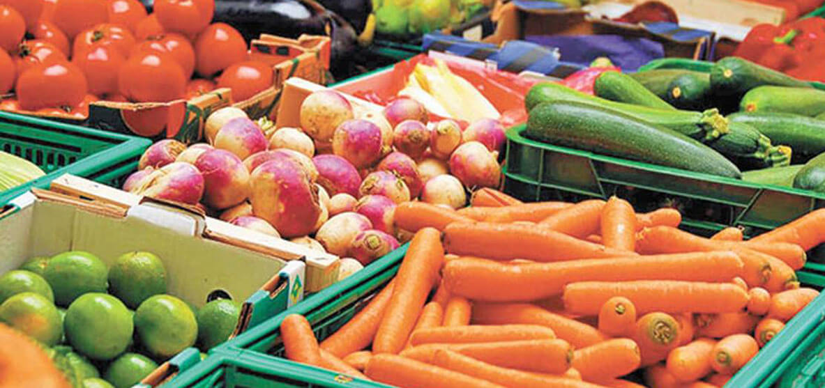 exportacion alimentos