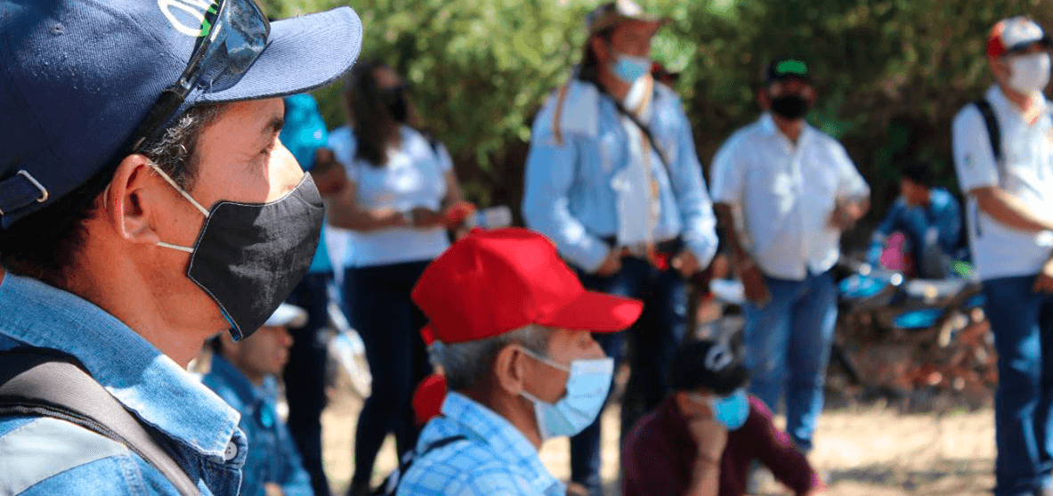 plna compesacion forestal