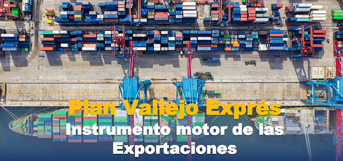 plan vallejo