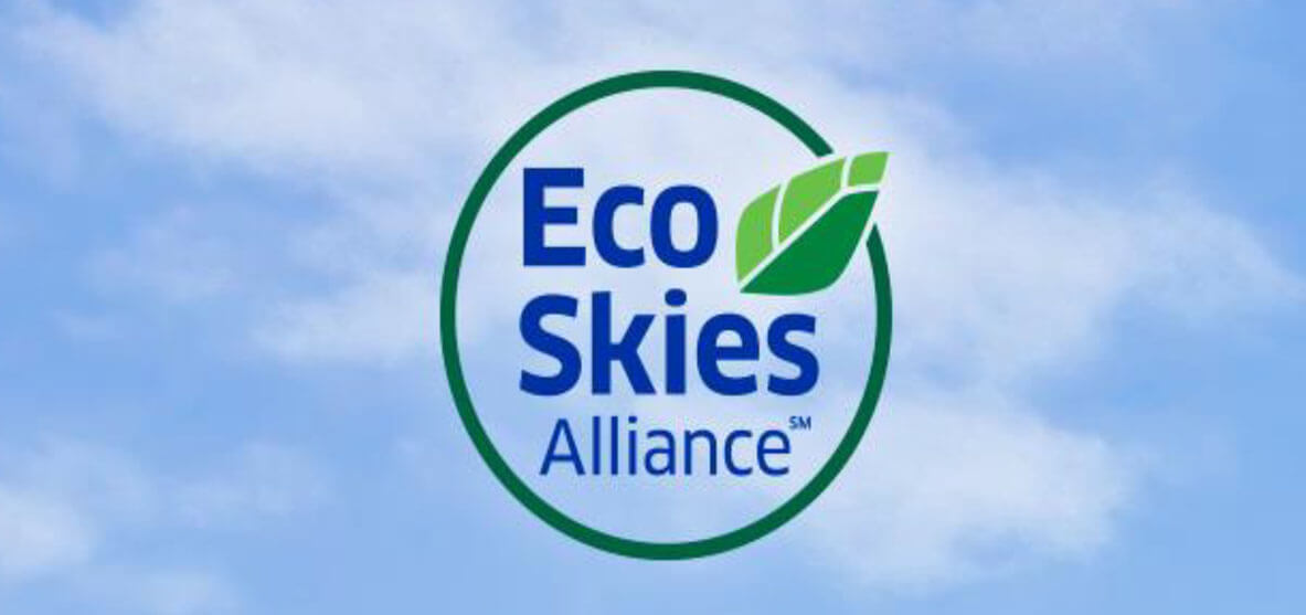 eco skies allies