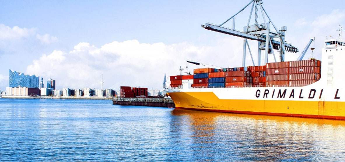 tlc exportaciones