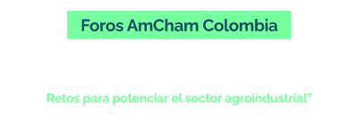 titulo-2